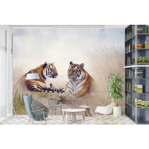 Two Tigers Wallpaper Wall Mural
