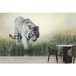 The White Tiger Wallpaper Wall Mural