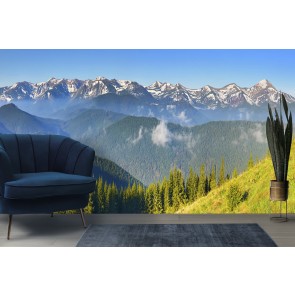 Spring Forest White Mountains Wallpaper Wall Mural