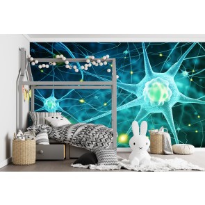 Nerve Cells Biology Science Wallpaper Wall Mural