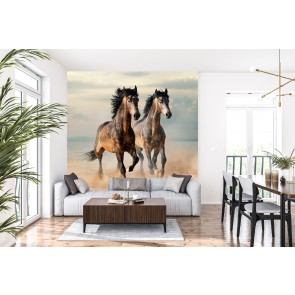 Two Horses On Beach Wallpaper Wall Mural