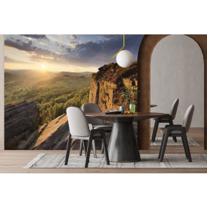 Millstone Edge Bell Heather Wall Mural by Francis Taylor