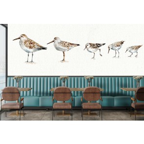 Pebbles and Sandpipers Wall Mural by Lisa Audit