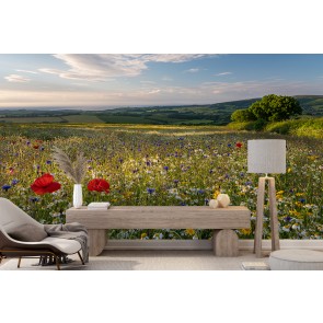 Countryside Spring Afternoon Wall Mural by Andrew Wheatley