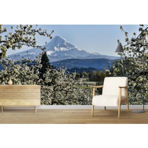 Pear Blossom Majesty Wall Mural by Don Schwartz