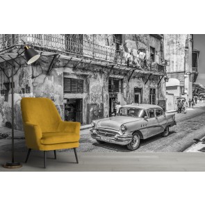 Cuban Street Wall Mural by Richard Silver