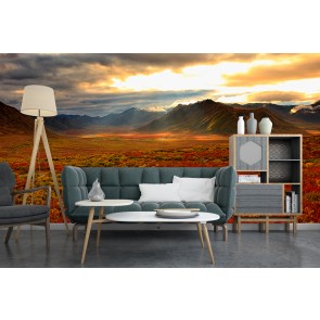 Sunlight on Dempster Highway Wall Mural by Design Pics - Danita Delimont