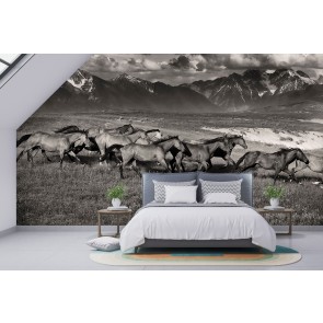 Dream Horses Wall Mural by Lisa Dearing