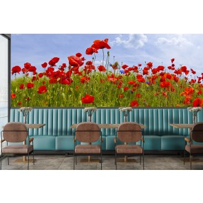 Idyllic Field Of Poppies Wall Mural by Melanie Viola