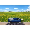 Summer Meadow Wallpaper Wall Mural