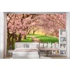 Cherry Blossom Path Wallpaper Wall Mural