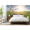 Meadow Sunset Wallpaper Wall Mural