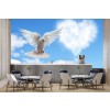 White Dove Wallpaper Wall Mural