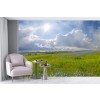 Forget Me Not Meadow Wallpaper Wall Mural