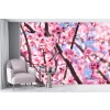 Cherry Blossom Wallpaper Wall Mural