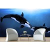 Killer Whale Wallpaper Wall Mural