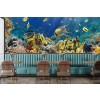 Tropical Fish Wallpaper Wall Mural