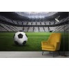 Football Stadium Wallpaper Wall Mural