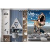 Roaring T-Rex Wallpaper Wall Mural