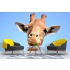 Curious Giraffe Wallpaper Wall Mural