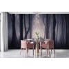 Dark Forest Wallpaper Wall Mural