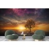 Starry Tree Wallpaper Wall Mural