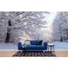 Winter Woods Wallpaper Wall Mural