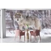 Lone Wolf Wallpaper Wall Mural