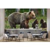 Bear Family Wallpaper Wall Mural