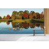 New Zealand Autumn Wallpaper Wall Mural