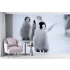 Slipping Penguin Chick Wallpaper Wall Mural