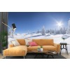 Winter Wood Panorama Wallpaper Wall Mural