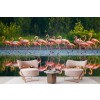 Flamingo Flock Wallpaper Wall Mural