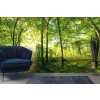 Green Tree Sunlight Wallpaper Wall Mural