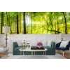 Green Forest Panorama Wallpaper Wall Mural