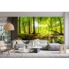 Green Forest Stream Wallpaper Wall Mural