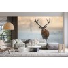 Stag in Snow Wallpaper Wall Mural