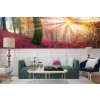 Enchanted Sunlight Forest Wallpaper Wall Mural