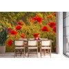 Red Poppy Field Wallpaper Wall Mural