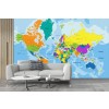 Colourful World Map Political Education Wallpaper Wall Mural