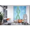 DNA Molecules Physics Science Wallpaper Wall Mural