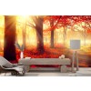 Red Autumn Forest Sunlit Trees Wallpaper Wall Mural