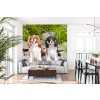 King Charles Spaniel Pet Dogs Wallpaper Wall Mural