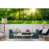 Green Tree forest Panoramic Wallpaper Wall Mural