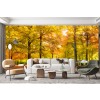 Autumn Forest Sunshine Panoramic Wallpaper Wall Mural
