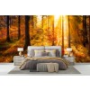 Autumn Forest Sunset Panoramic Wallpaper Wall Mural