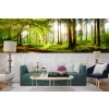 Spring Forest Panoramic Wallpaper Wall Mural