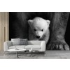 Bear Cub Wallpaper Wall Mural