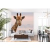 Giraffe Selfie Safari Animals Wallpaper Wall Mural