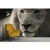 Black & White Lion Wallpaper Wall Mural